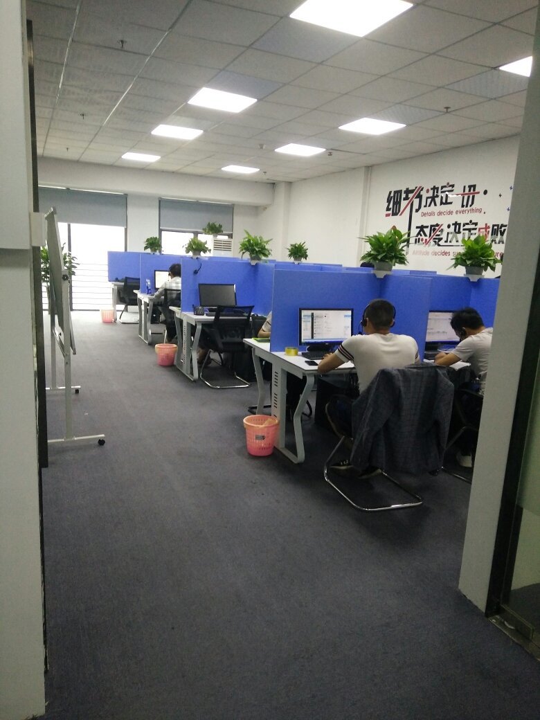 东莞鼎宸商务信息咨询 专业信息咨询服务的价值与实践